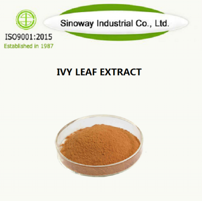 ivy leaves extract
